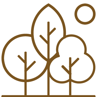 Eco Living Lifestyle