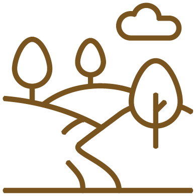 Lifestyle Development